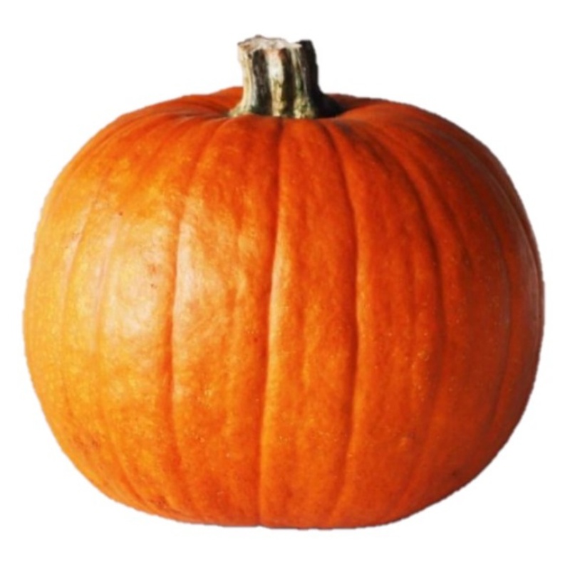 Halloween græskar, 4,5-8,5 kg