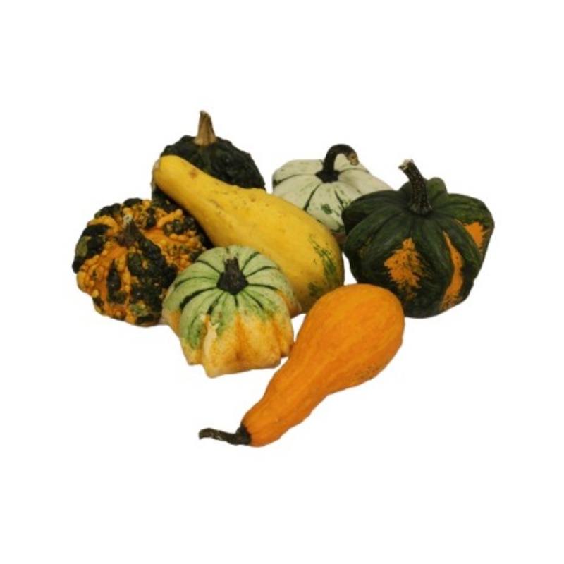 Pyntegræskar, assorteret