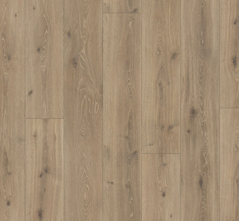 Parador, Laminatgulv, Trendtime 6, lang planke, Eg Castell kalket, 9x243x2200 mm