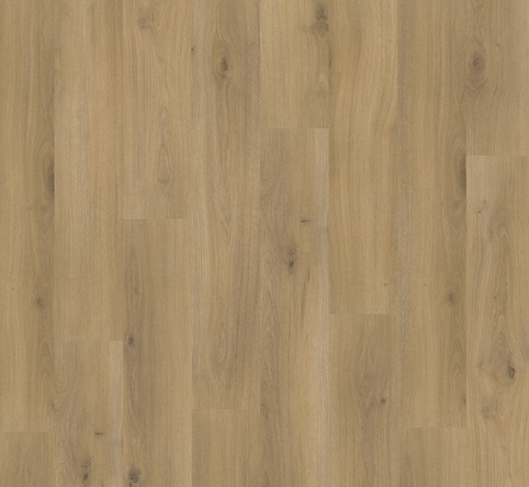 Parador, Laminatgulv, Basic 400, planke, Eg Horizont natur, 8x194x1285 mm