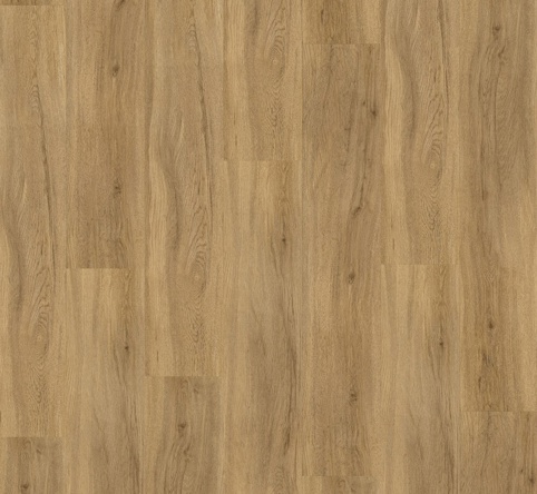 Parador, Korkvinylgulv, Basic 30, Eg Sierra natur, 9,4x216x1207 mm