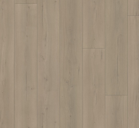 Parador, Laminatgulv, Trendtime 6, lang planke, Eg Loft grå, 9x243x2200 mm
