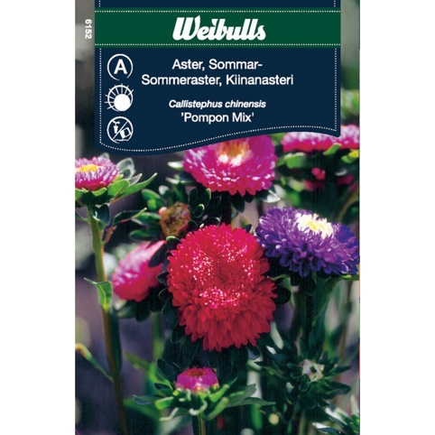 Blomsterfrø, Sommerasters, Pompon