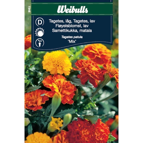 Blomsterfrø, Tagetes, mix