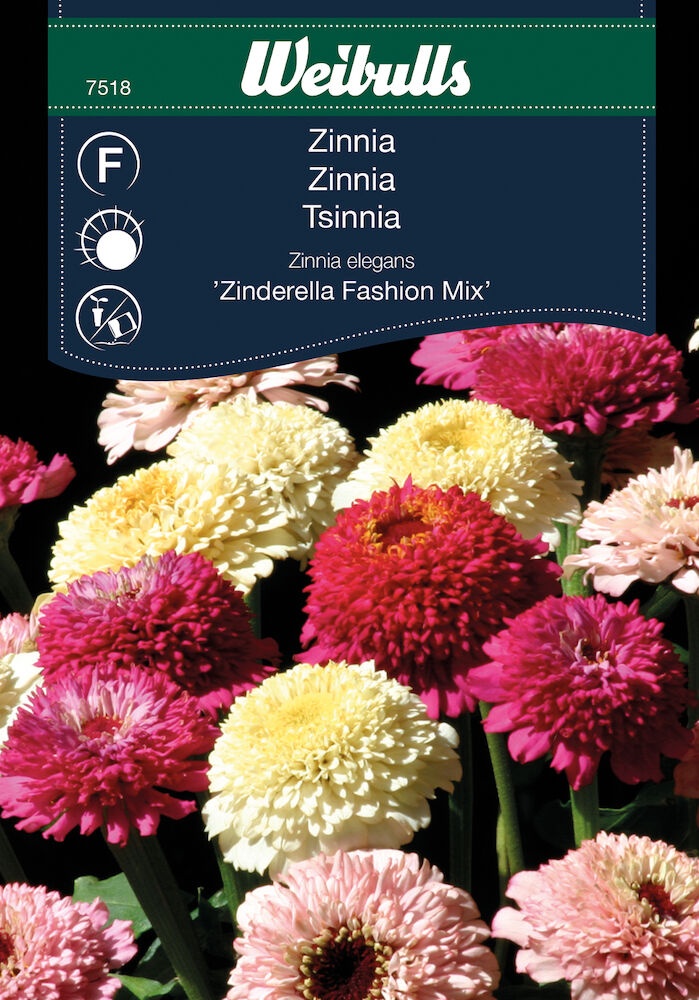 Blomsterfrø, Frøkenhat, Zinnia elegans, Fashion mix Køb Blomsterløg