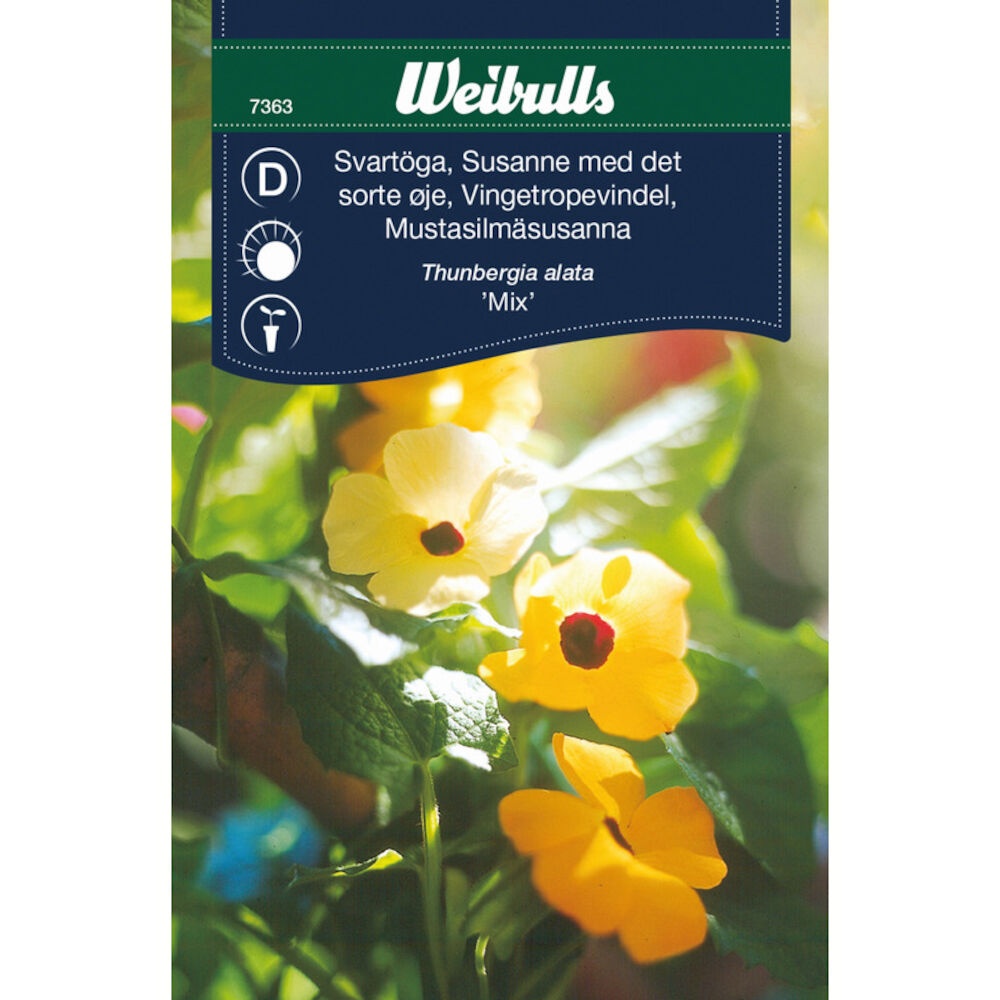 blomsterfr-susanne-med-det-sorte-je-gul-silvan