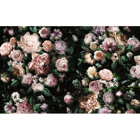 Komar, Fototapet, Victoria Black, 400x250 cm