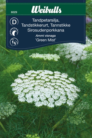 Blomsterfrø, Tandstikkeurt, Green Mist